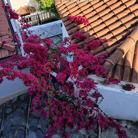 Casa de Férias Spitaki *